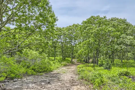 4 Cedar Lane Chilmark MA 02535
