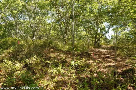 4 Cedar Lane Chilmark MA 02535