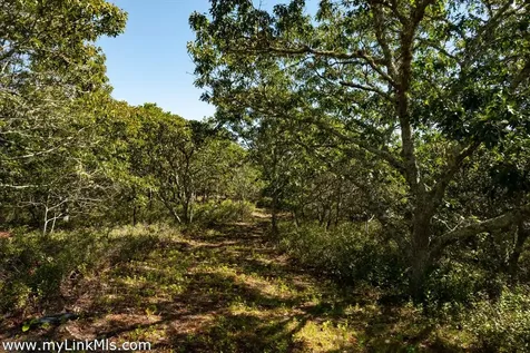 4 Cedar Lane Chilmark MA 02535