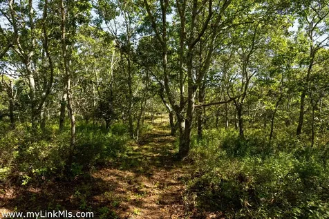 4 Cedar Lane Chilmark MA 02535