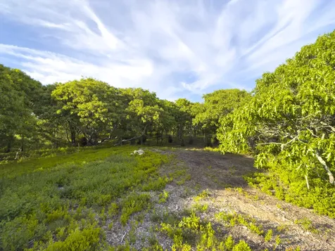 4 Cedar Lane Chilmark MA 02535
