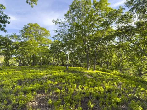 4 Cedar Lane Chilmark MA 02535