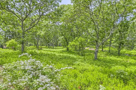 4 Cedar Lane Chilmark MA 02535