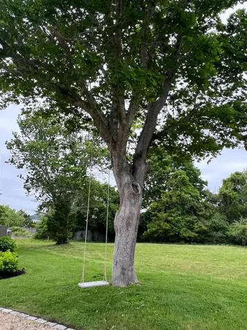 264 Katama Road Edgartown MA 02539