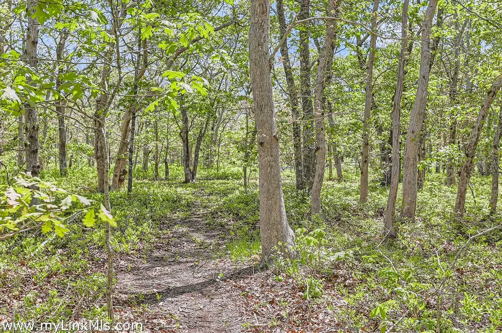 25 Plum Bush Point Road West Tisbury MA 02575
