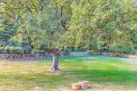 180 Pilot Hill Farm Road Vineyard Haven MA 02568