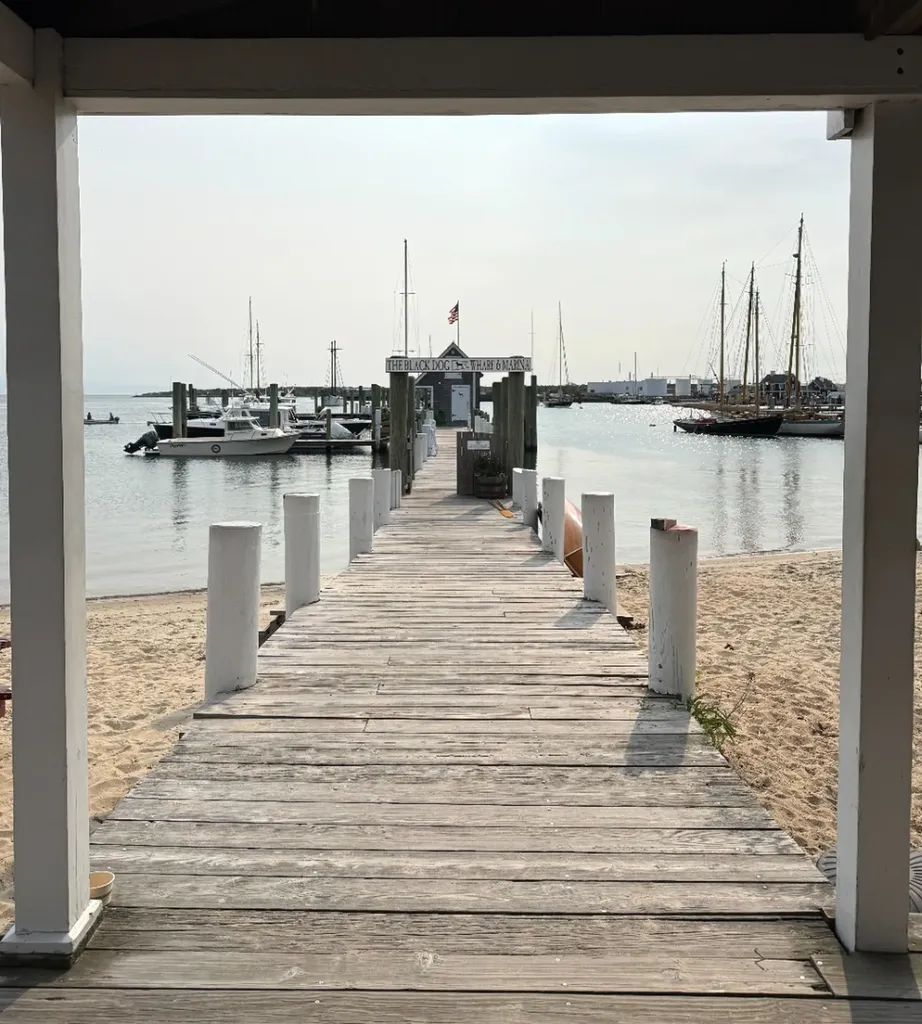 208 Irenes Way Vineyard Haven MA 02568