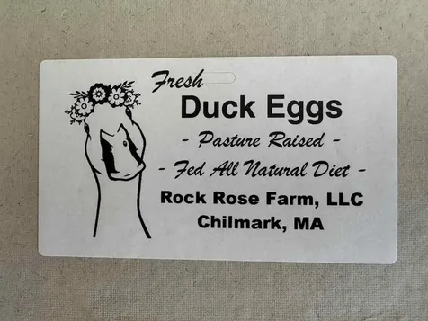 60 Meetinghouse Road Chilmark MA 02535