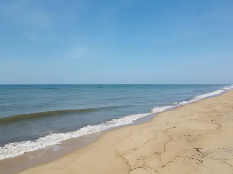 5 Atlantic Drive Edgartown MA 02539