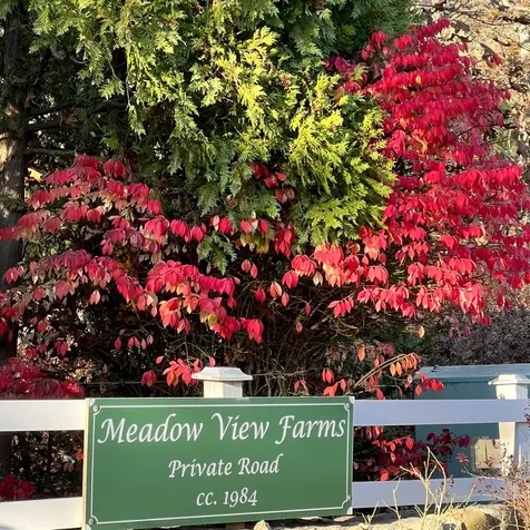 4 High Meadow Lane Oak Bluffs MA 02557