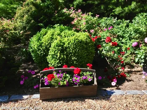 261 Sandpiper Lane Vineyard Haven MA 02539