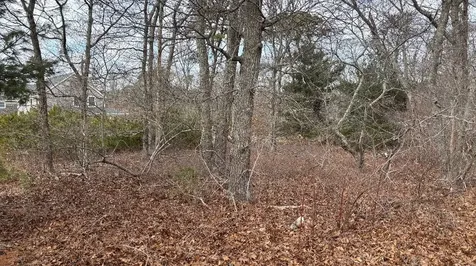 0 California Avenue Oak Bluffs MA 02539