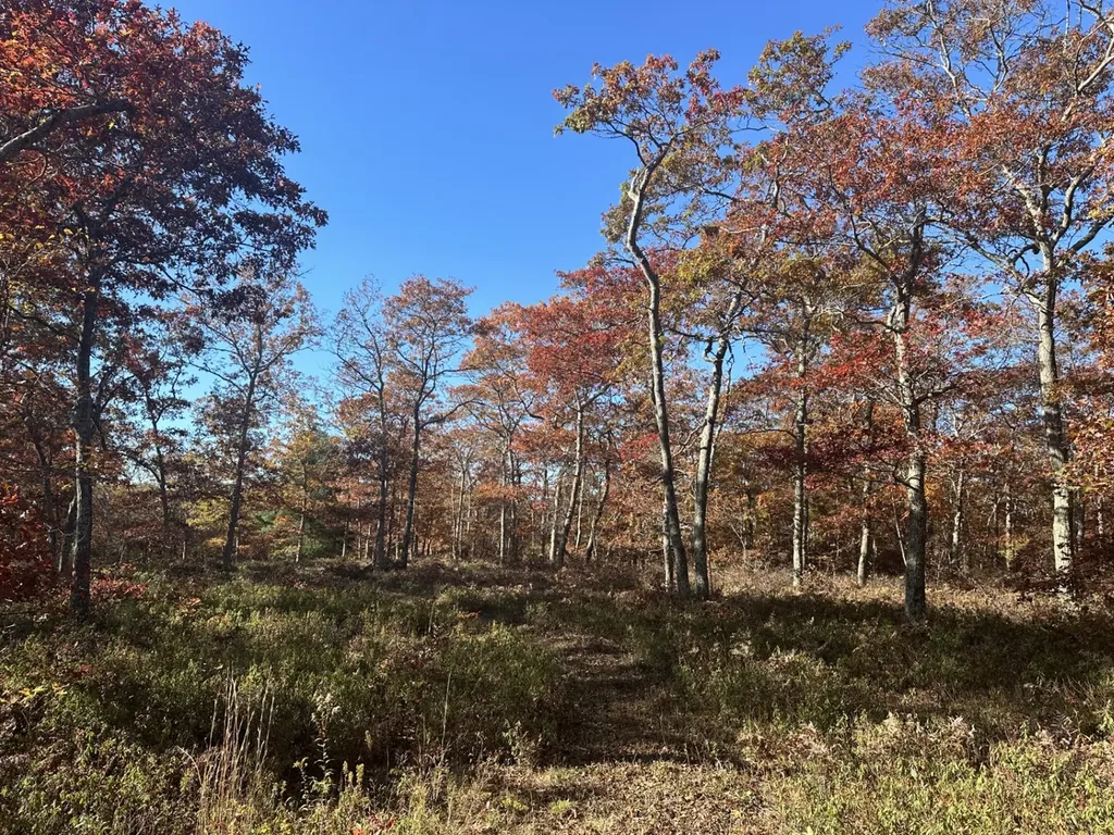 0 Bridle Path Road Vineyard Haven MA 02568