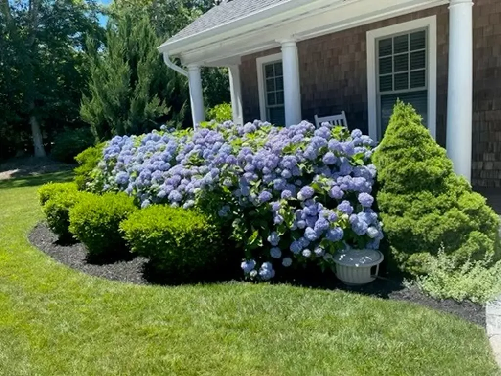 42 Eighth Street North Edgartown MA 02539