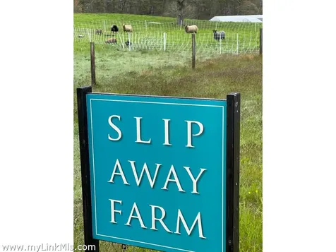 72 Chappaquiddick Avenue Edgartown MA 02539