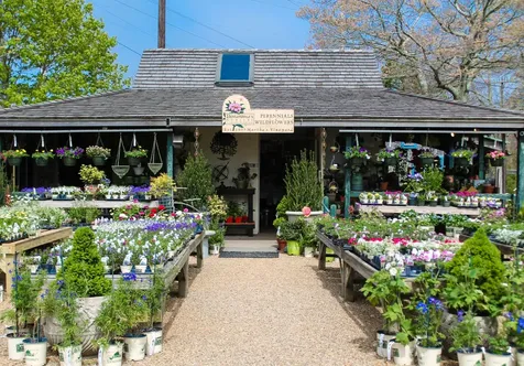 427 State Road Vineyard Haven MA 02568