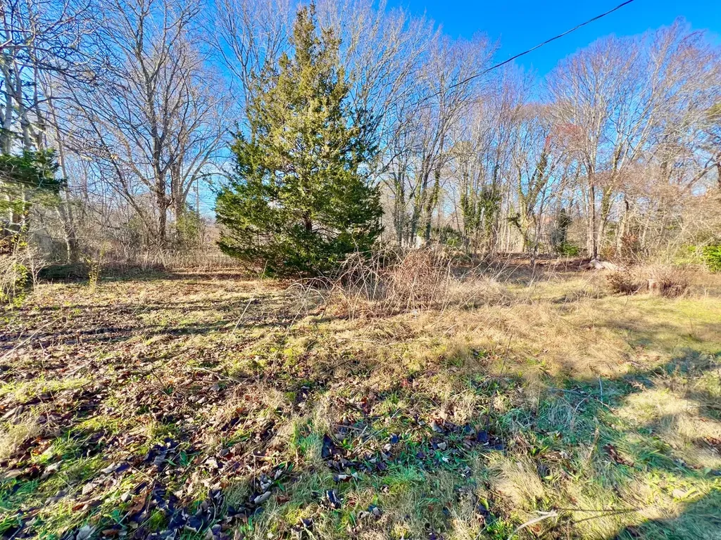 25 Oak Avenue Oak Bluffs MA 02557