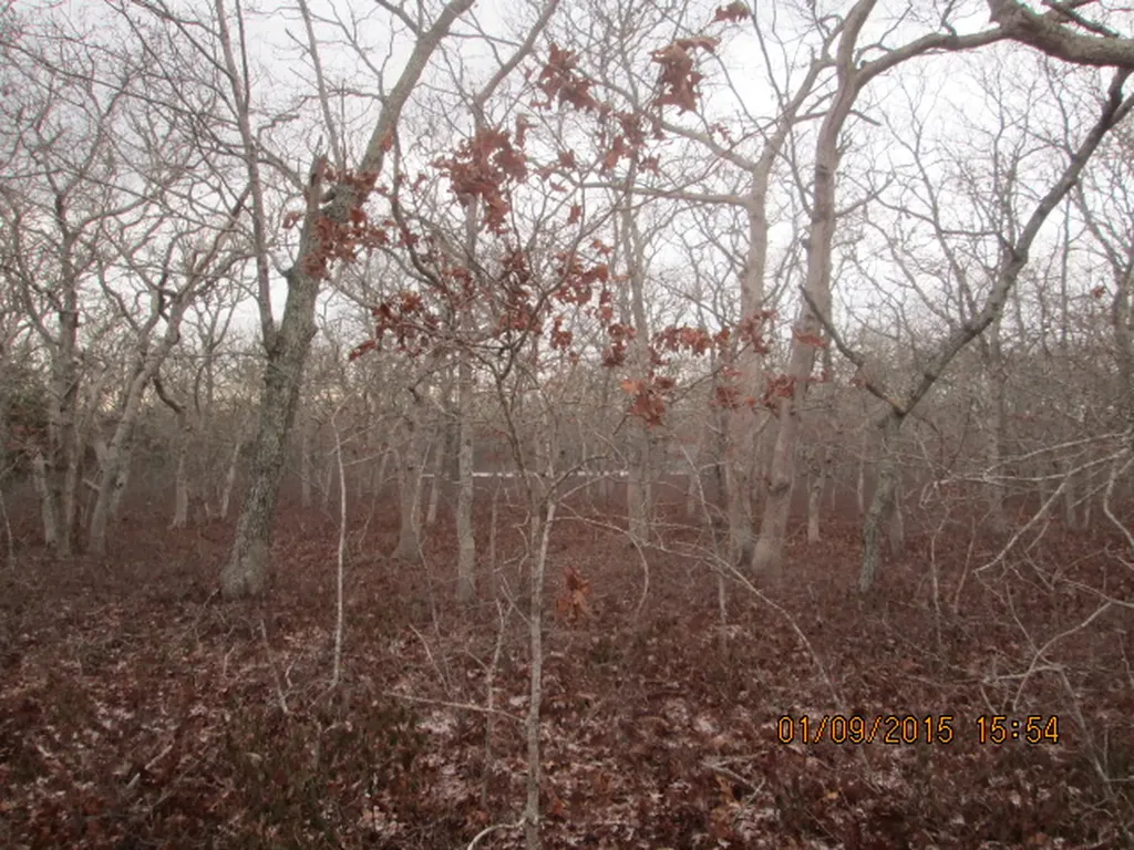 26 Oyster Lane Chilmark MA 02535