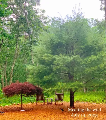 34 South Pond Road West Tisbury MA 02568