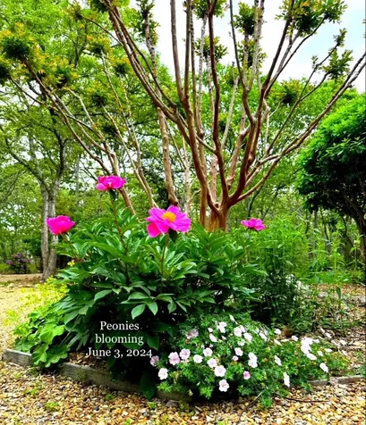 34 South Pond Road West Tisbury MA 02568