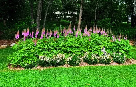 34 South Pond Road West Tisbury MA 02568