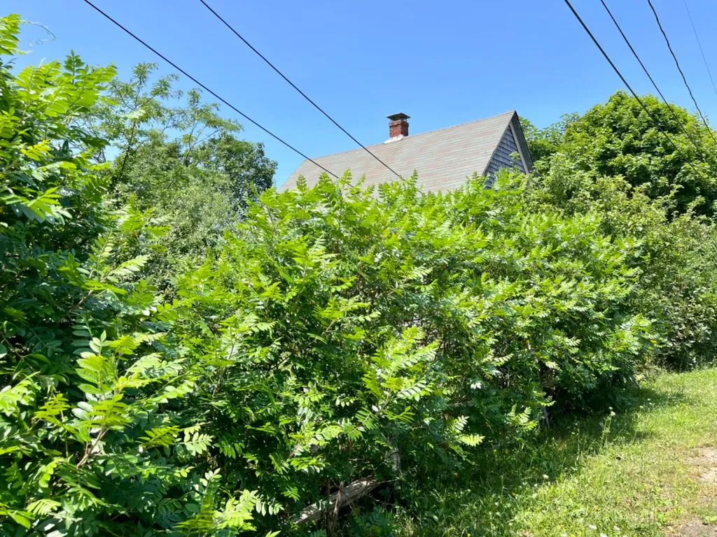 26 Winthrop Avenue Oak Bluffs MA 02557