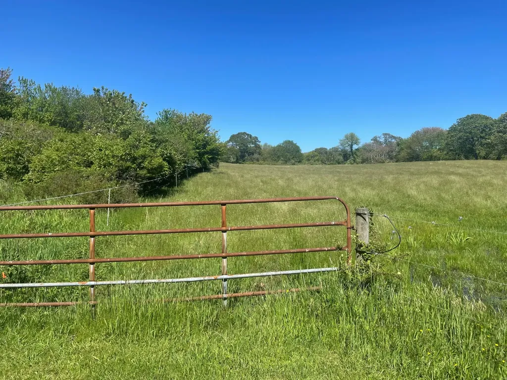 493 South Road Chilmark MA 02535