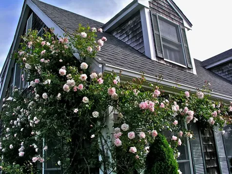 10 Lauras Way Oak Bluffs MA 02557