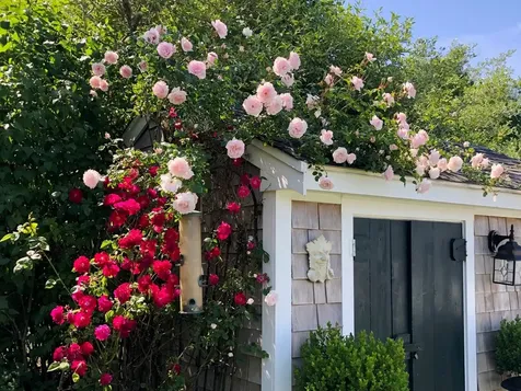 10 Lauras Way Oak Bluffs MA 02557