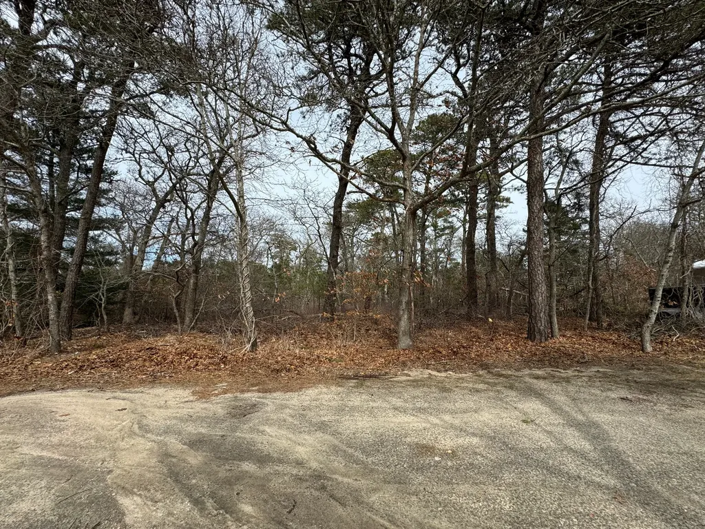 30 Olive Street Oak Bluffs MA 02557