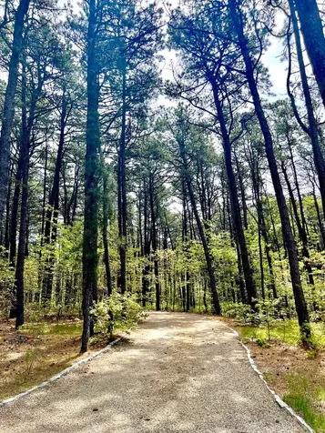 209 Cove Road Vineyard Haven MA 02568