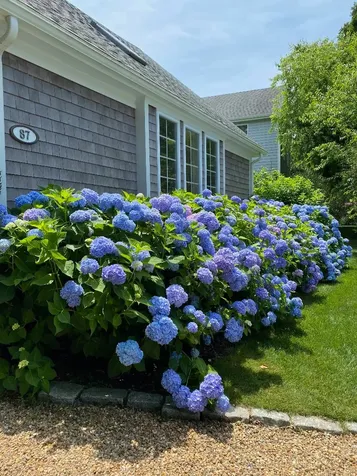 87 Schoolhouse Road Edgartown MA 02539