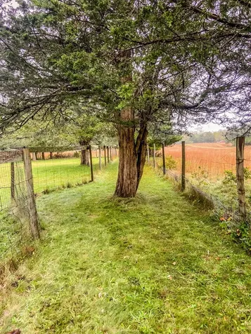 7 Parsonage Woods Road West Tisbury MA 02575