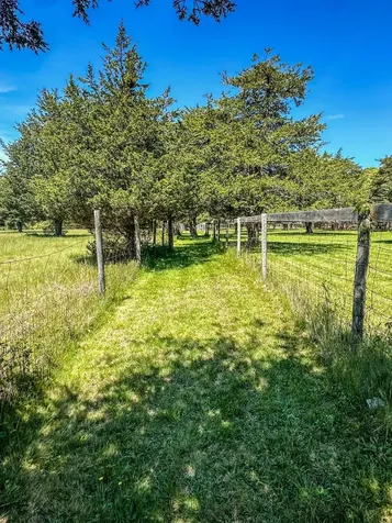 7 Parsonage Woods Road West Tisbury MA 02575