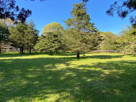 7 Parsonage Woods Road West Tisbury MA 02575