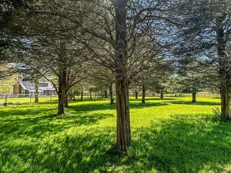 7 Parsonage Woods Road West Tisbury MA 02575