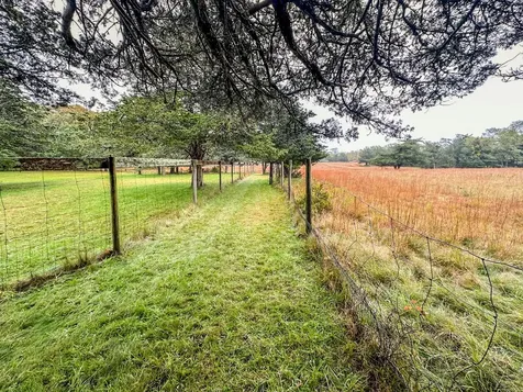 7 Parsonage Woods Road West Tisbury MA 02575