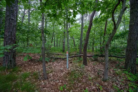 8 Meshacket Wood Road Edgartown MA 02539