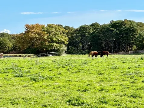 248 Pond Road West Tisbury MA 02575