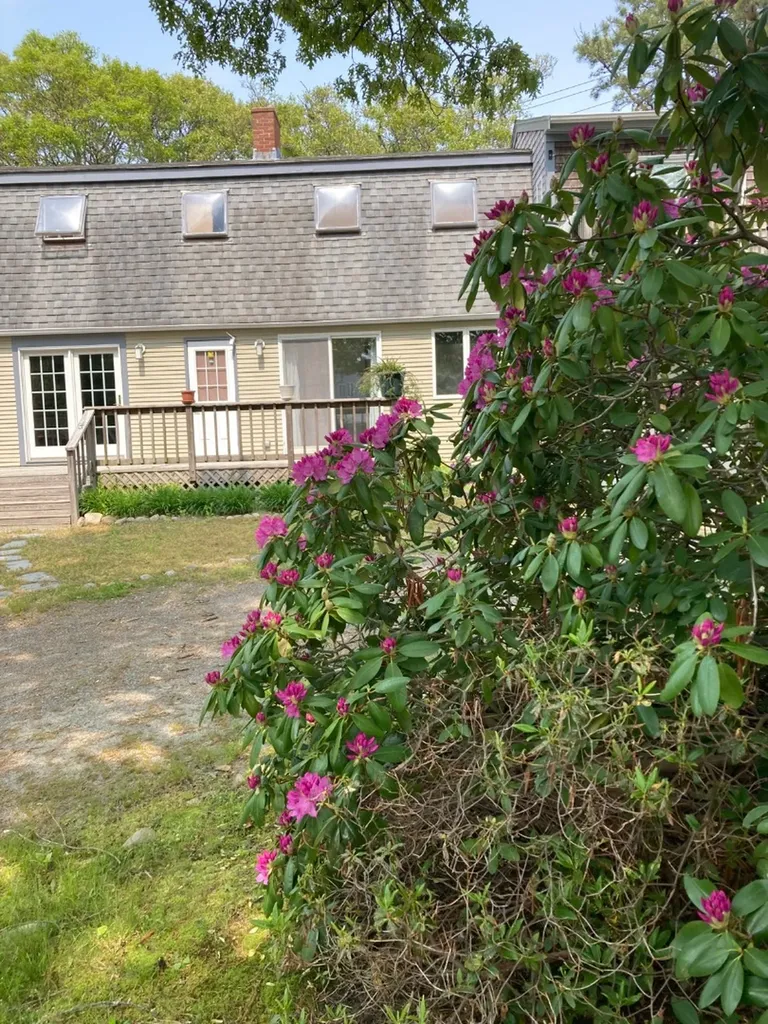 3 Carole Avenue Oak Bluffs MA 02557