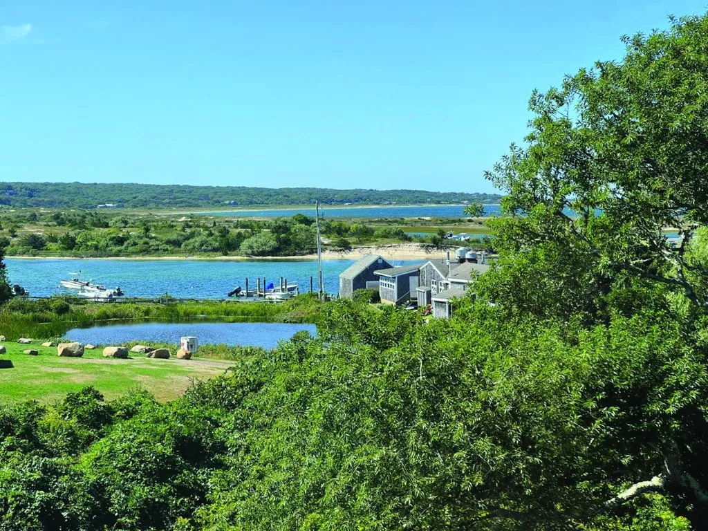 10 Mollys Way Chilmark MA 02535