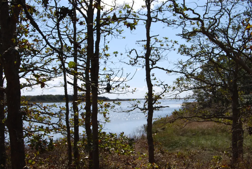 160 Plum Bush Point Road West Tisbury MA 02575