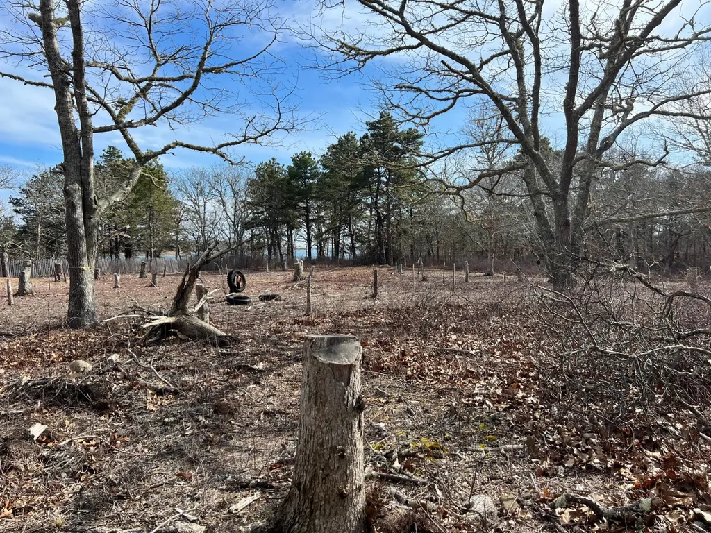 160 Plum Bush Point Road West Tisbury MA 02575