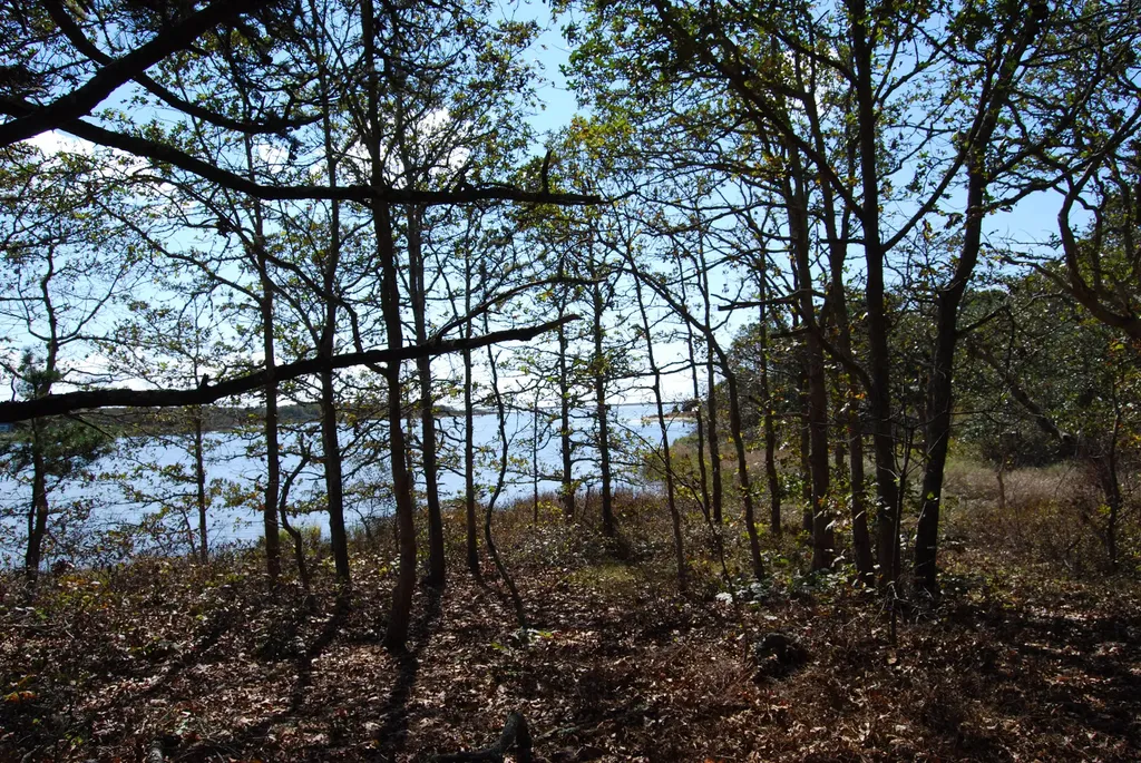 160 Plum Bush Point Road West Tisbury MA 02575