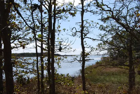 160 Plum Bush Point Road West Tisbury MA 02575