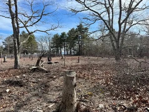 160 Plum Bush Point Road West Tisbury MA 02575