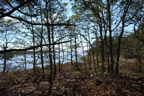 160 Plum Bush Point Road West Tisbury MA 02575