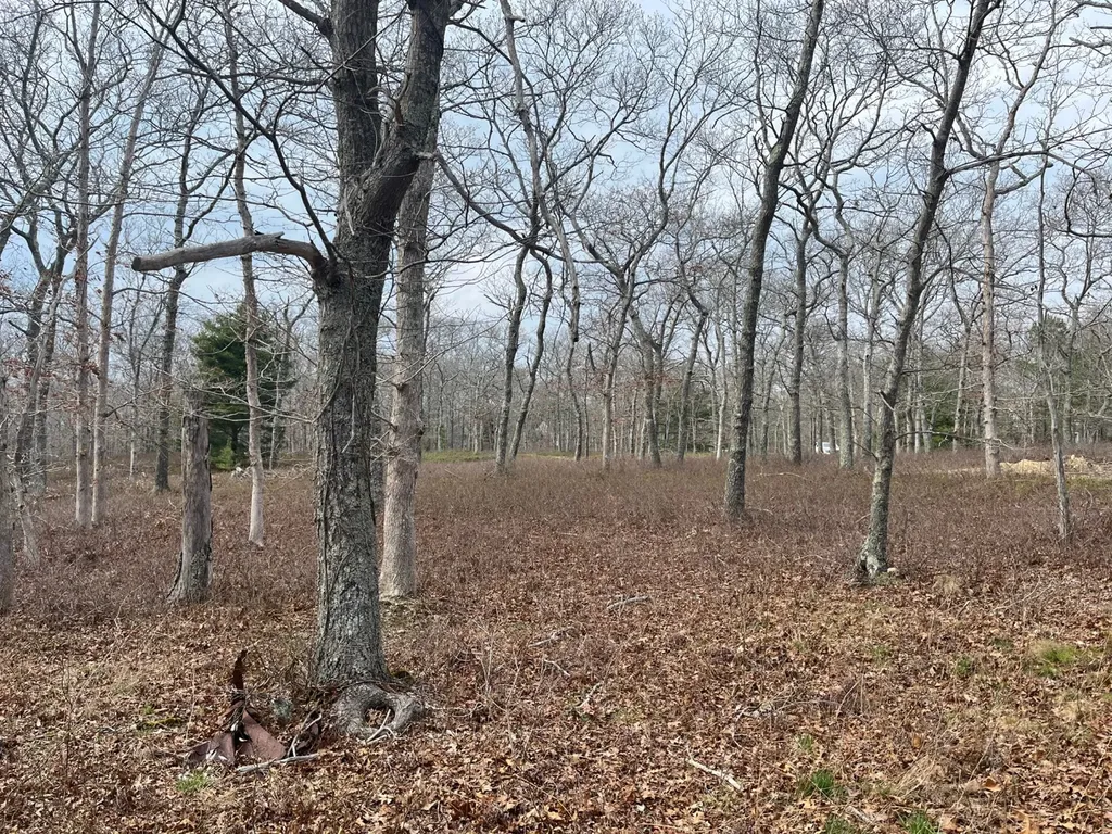 0 Bridle Path Lane Vineyard Haven MA 02568