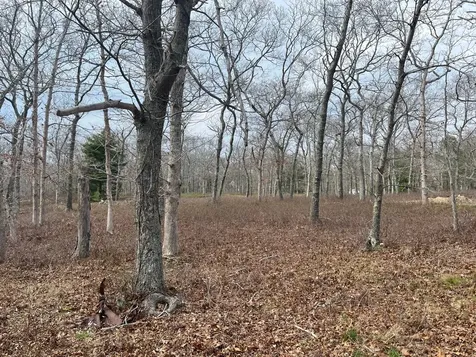 0 Bridle Path Lane Vineyard Haven MA 02568