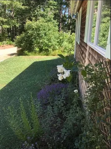 58 Hagerty Drive Vineyard Haven MA 02568